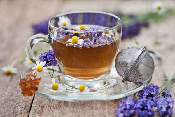 Чай успокаивающий нервную систему какой чай успокаивает нервы
